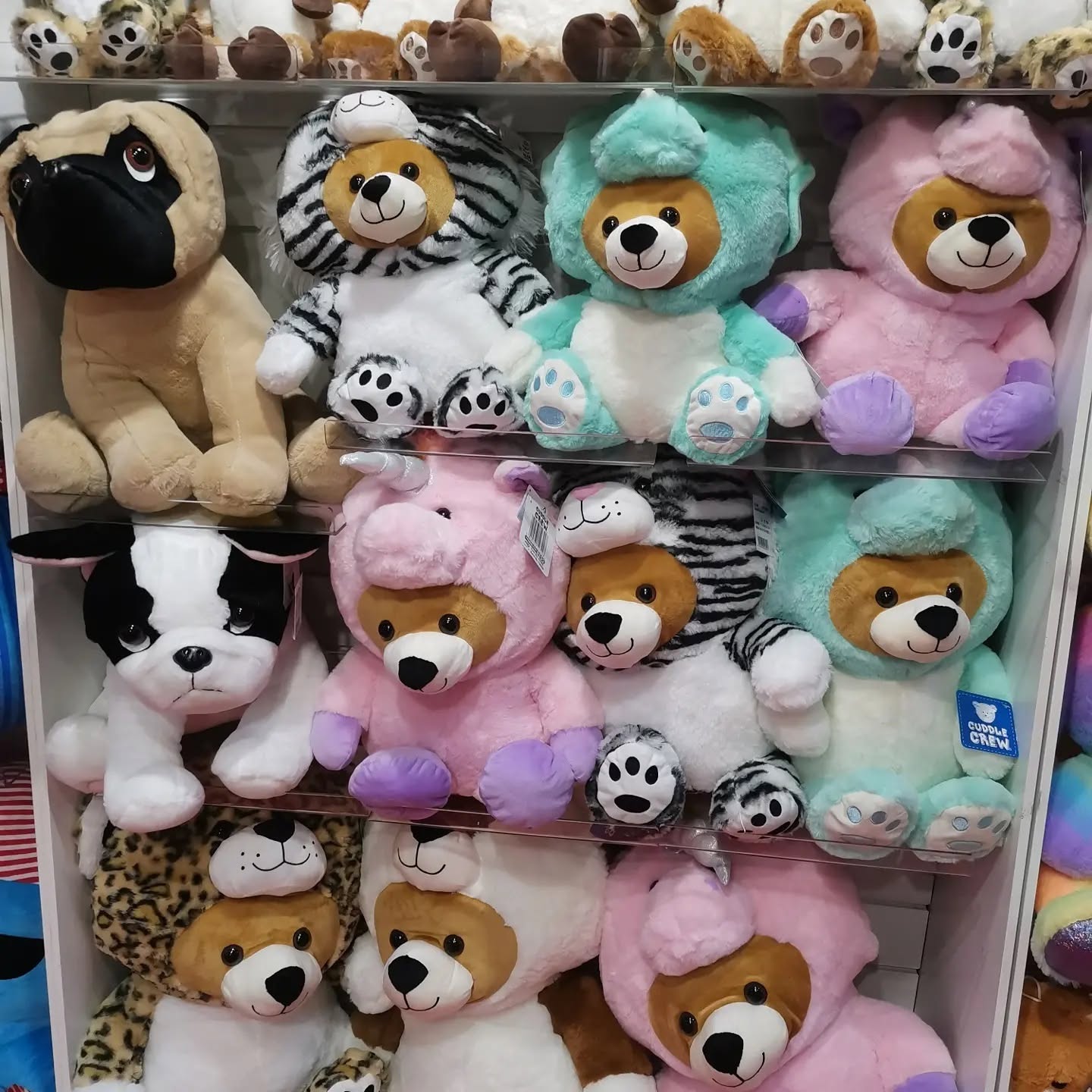 Crazy Fun – Luna Park e Cucciolab